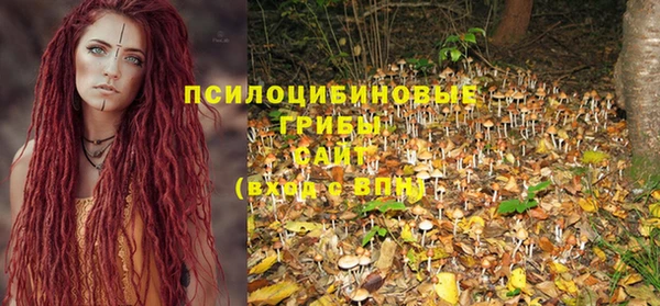прущая мука Покачи