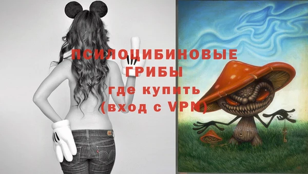 амф Покров