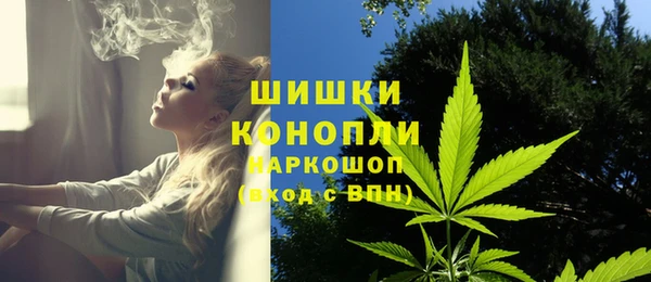 мяу мяу мука Пестово