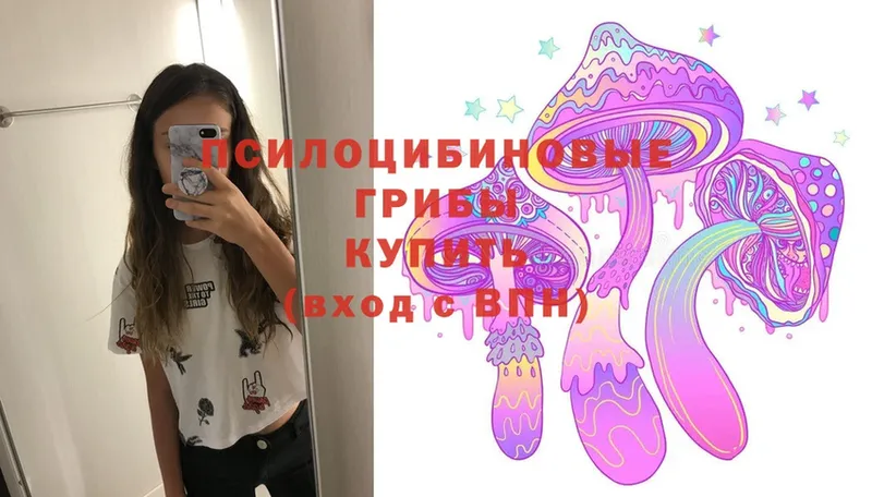 Псилоцибиновые грибы Magic Shrooms  Сортавала 