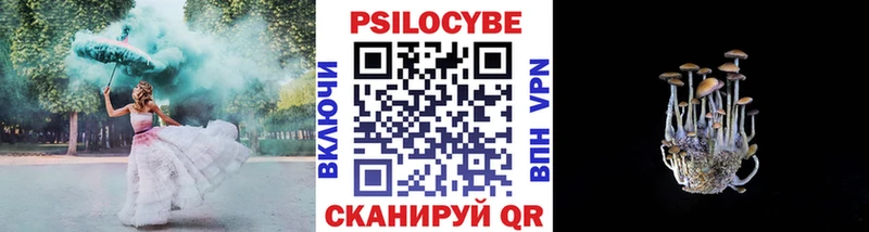 Псилоцибиновые грибы прущие грибы  blacksprut онион  Сортавала 